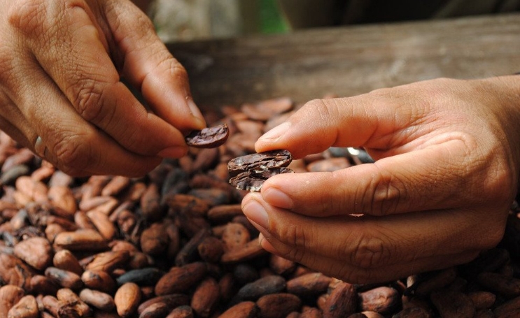 India, the new kingdom of chocolate